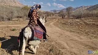 Donkey ride for two in the mountains