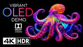 Vibrant OLED Demo 4K 60fps HDR Dolby Vision - 4K Video Dolby Atmos