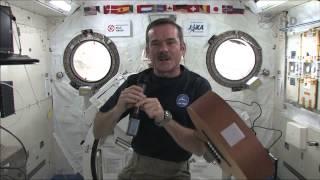 Chris Hadfield speaks to over 800 Milton Ontario students