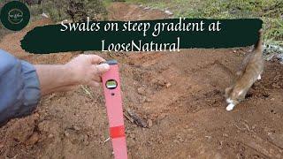 Swales on steep gradient at LooseNatural