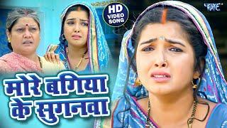 मोरे बगिया के सुगनवा - Nirahua & Amarpali Dubey का रुला देने वाला विडियो  Bhojpuri Sad Song