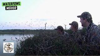 Unreal Waterfowl Hunt in Mexicos Laguna Madre