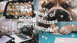 . week in my college life  first week of spring semester zoom university @ northeastern uni 