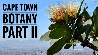 Kirstenbosch Botanic Garden part 2 South Africa Series - Ep. 3