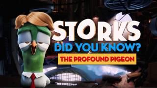 Storks- Did You Know? The Profound Pigeon