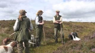 Shooting walked-up grouse