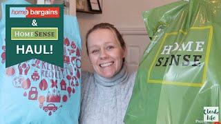 A VERY CHAOTIC HOME BARGAINS AND HOMESENSE HAUL  CLARKE LIFE