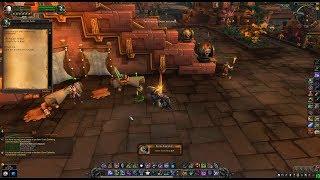 BFA Skinning Profession - All Quests Horde