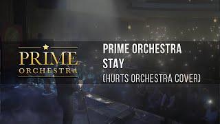 Hurts — Stay  Prime Orchestra cover 