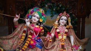 Beautiful radhakrishna whatsapp statuskrishna bhajan statuskrishna bhagwan status #krishna #shorts