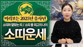 미리보는 2025년 소띠 대박운세 2025년 소띠분들의 궁합과 대박운이 다가오는 최상의 나이를 알려드립니다