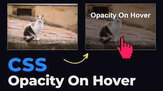 Beautiful CSS Opacity Effect On Hover  CSS Overlay Text On Image