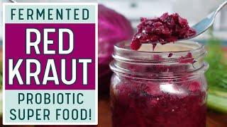 FERMENTED RED CABBAGE SAUERKRAUT - The Best Beginner Friendly Sauerkraut Video Out There