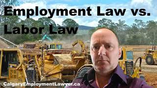 Employment Law versus Labor Law