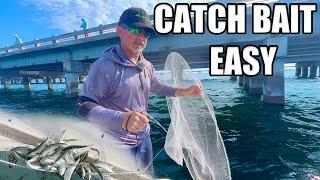 How To Catch Bait In Tampa Bay Without A Cast Net The Bally Hoop Net