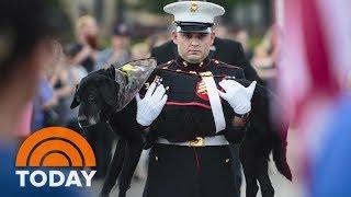 Watch A Marine Give His Beloved Dying Dog A Touching Final Ride  TODAY
