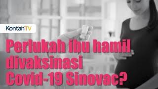 Perlukah ibu hamil divaksinasi Covid-19 Sinovac?