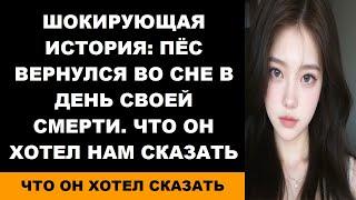 Шокирующая история Пёс вернулся во сне в день своей смерти. Что он хотел нам сказать