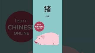 Learn Chinese Online 猪 zhū