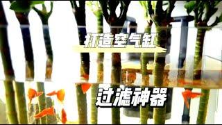 小缸打造空气缸神器，亲测实评