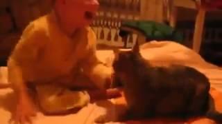 Ребёнок мучает кота Кот наказывает ребёнка