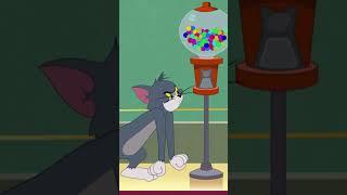 Tom ve Jerrynin yeni sorunu Sakızlar  #tomvejerry #shorts