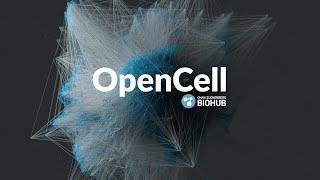OpenCell