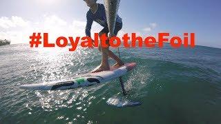 #LoyaltotheFoil interview by Ron Simpson