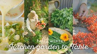 From kitchen garden to table FallWinter - California Seasonal Cooking with backyard harvest