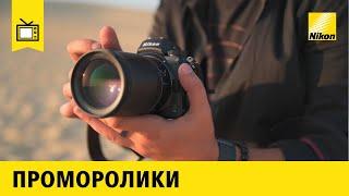 Конкурс «Экологический фотограф 2021 года»