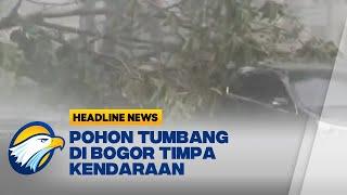 Angin Kencang Pohon Tumbang di Bogor Timpa Kendaraan