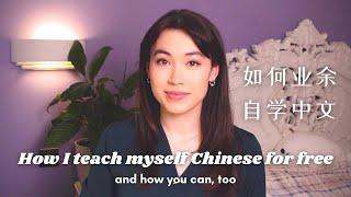 How to Learn Fluent Chinese Exact Plan for Part-Time Study