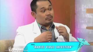 Rabies Infection Treatment Vaccines and Prevention