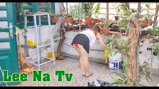 Single mother takes care of the garden on the rooftop  Lee Na Tv