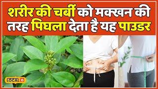 Gudmar Benefits Diabetes के मरीजों के लिए है रामबाण इलाज जानें इसके अन्य फायदे  #local18