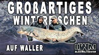 BLANKWELTMEISTER  Großartiges WINTERFISCHEN auf WALLER  Winterwaller