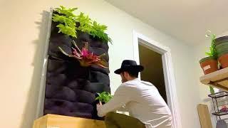 Florafelt Pockets Easy Living Wall