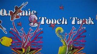 quinnie - touch tank Official Lyric Video