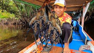 Sangat memuaskan mancing kali ini 1 spot sampai 4 babon udang berhasil diselamatkan