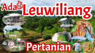 Petani bule Ada di Leuwiliang warung cantik penginapan dan spot photo yang instagramable #2022