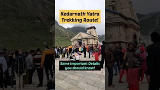 #Kedarnathyatra2023 Yatra Route - Important details you should know #Shorts