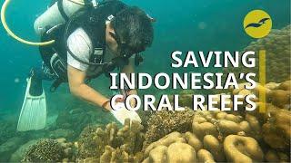 These fishermen used to destroy Indonesia’s coral reefs  Now they’re saving it.