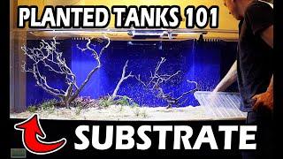 Planted Tanks 101 LIGHTING & SUBSTRATE