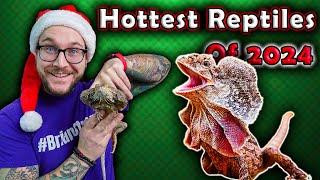 Top 5 Newly Popular Reptiles That Will BLOW UP in 2024