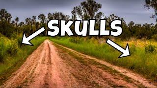 We Found TONS of SKULLS on the Side of This Road  Bone & Fossil Hunting Foraging and Rockhounding