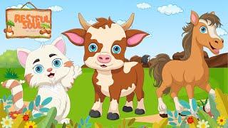 Bustling animal world sounds around us Cat Cow Horse