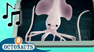 Octonauts - Long-Arm Squid and Others  Cartoons for Kids  Creature Reports