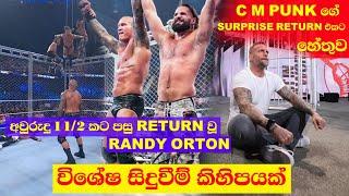 Randy Orton Return And Randys Special In Survivor Series In Sinhala  C M Punk Shocking Return