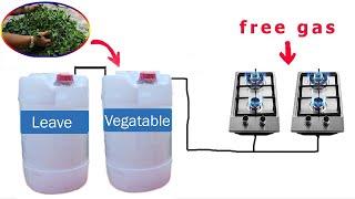 how to make free gas from leaves  How To Make Free Gas from Fruit And Vegetables waste #Freegas