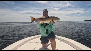 Plenty of snook trout and a big Reds in Pine island Sound